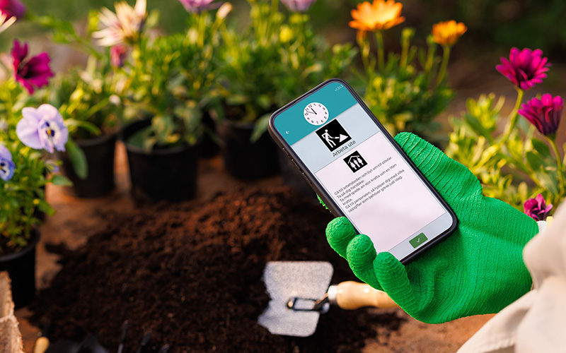 Boet Tydliggorande Pedagogik